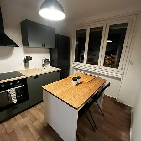 Apartment 4 Personnes - Ambiance Cosy - Proche Universites Grenoble